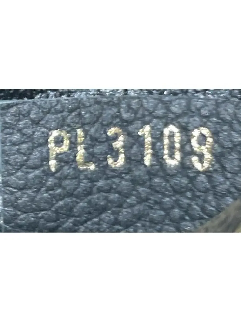 Louis Vuitton Pallas Beauty Case Canvas #340387L95B